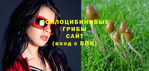 не бодяженный Балахна