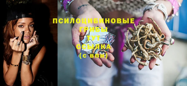 винт Баксан