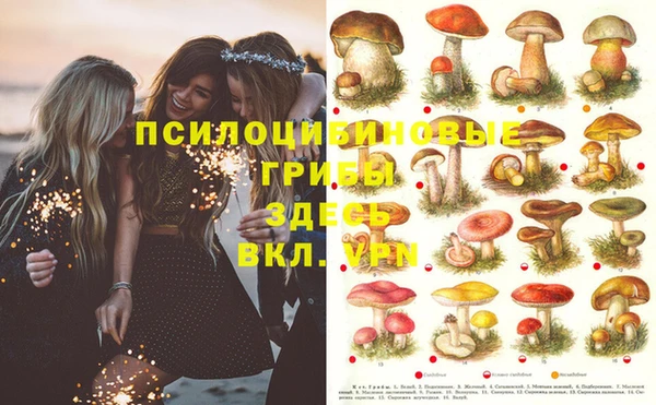 не бодяженный Балахна