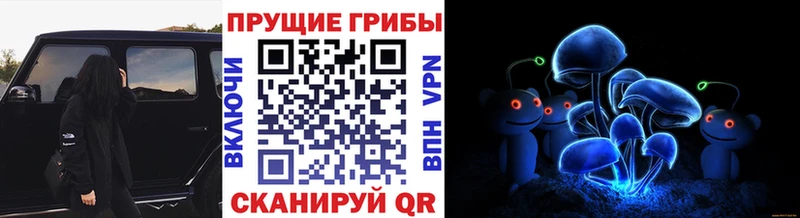 Галлюциногенные грибы ЛСД  Купить где  Нижние Серги 