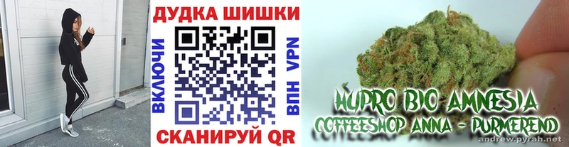 Каннабис OG Kush  Купить где  Нижние Серги 